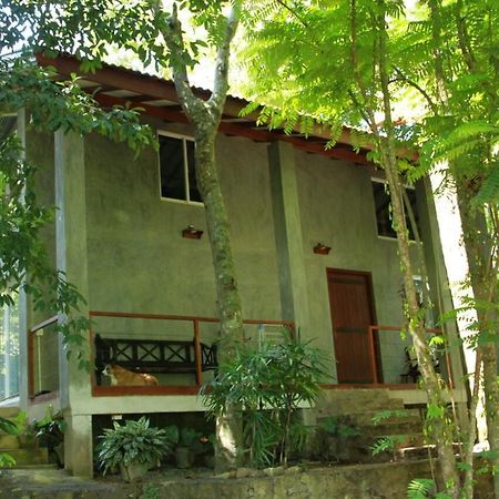 Executive Residency Retreat Villa Hikkaduwa Exterior foto